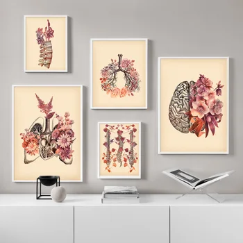 Vintage Pľúc Lebky, Chrbtice Ľudskej Anatómie Medicíny Wall Art Plátno Na Maľovanie Nordic Plagáty A Potlačou Obrazov Na Stenu Pre Obývacia Izba